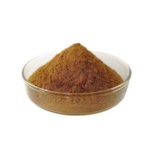 Polvo de Polisacáridos de <span class=keywords><strong>Boletus</strong></span> Edulis de Alta Calidad, Extracto de <span class=keywords><strong>Boletus</strong></span> Edulis, Polvo de Hongo Porcini - Product Image 1