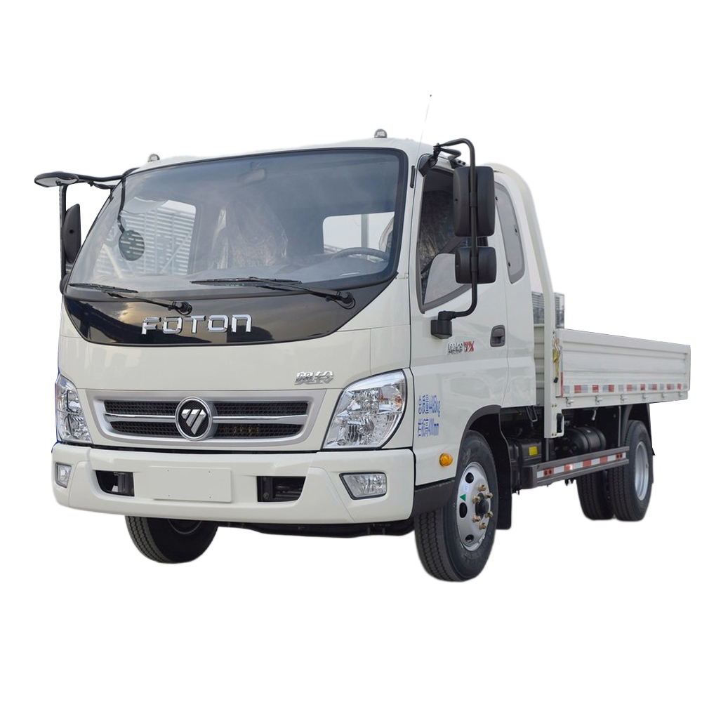 Hyundai HD Cargo Truck 2010