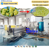 Baiyu industriële druivenverwerkingsapparatuur voor sap-, wijn- en jamfabrieken met automatische schiltechnologie