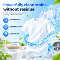 Pemasok OEM Deterjen Bubuk Cuci Grosir Murah Ramah Lingkungan Busa Melimpah Pabrik Bubuk Cuci Buang Pakai China 500g/125g