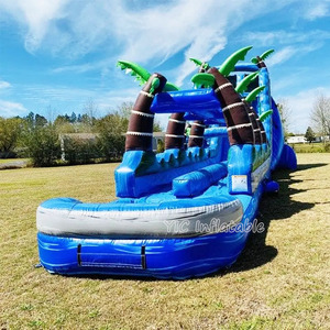 Phổ biến ngoài trời bơm hơi khổng lồ cây cọ trượt N trượt công viên nước với hồ bơi cho mùa hè cho thuê - Product Image 2