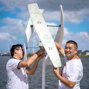 Sistema de Energía Híbrida Eólico-Solar R&X Serie RX-VX de 5KW/10KW/15KW para Uso Doméstico, Garantía de 10 Años, Certificación CE/RoHS - Product Image 5