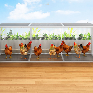 Büyük boy Metal örgü güvercin Coop ev kuş kafesi bıldırcın ördek tavşan papağan tavuk Aviary ev için - Product Image 3