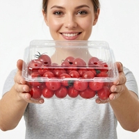 Contenitore per Alimenti Usa e Getta in PET Riciclabile con Design a Conchiglia, Goffrato, per Prodotti Agricoli, Frutta e Verdura