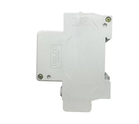 Interruptor Automático Delixi Tipo D RCD DZ47LE-D con Protección Contra Fugas a Tierra, Capacidad de Ruptura de 6kA, Voltaje Nominal de 220V/380V