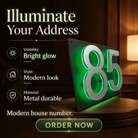 Numéros et Lettres de Maison Rétroéclairés Modernes en Acier Inoxydable, Lumineux à LED