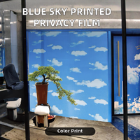 Película Moderna para Ventanas con Diseño de Cielo Azul y Nubes Blancas, Aislamiento Térmico, Impermeable, Autoadhesiva, Material de PVC Opaco para Baño