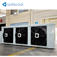 Refroidisseur d'air évaporatif haute performance AUKS 22,2 kW |   Réfrigération industrielle à basse température avec deux ventilateurs de 630 mm, fourniture d'usine