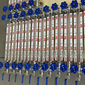 Indicador de Nivel de Tubo de Vidrio de Acero Inoxidable para Calderas, Precisión del 5%, Temperatura de Trabajo de 0~450°C, Marca con Garantía de 12 Meses - Product Image 4