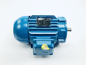 Nuovo Motore Originale WEG W22 Nema Premium 15hp 1435TCFr Albero 78 575v 3ph per Inverter Controllo PLC Programmabile - Product Image 1