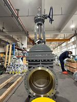 Válvula de Compuerta de Acero Inoxidable de Alta Resistencia 316L de 12 Pulgadas Clase 300 con Brida RTJ y Vástago Ascendente Atornillado