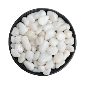 Ciottoli di Fiume <span class=keywords><strong>Bianchi</strong></span> Lucidi Premium, Pietre Decorative <span class=keywords><strong>per</strong></span> Acquari, Giardini, Paesaggistica e <span class=keywords><strong>Vasi</strong></span> da Fiori - Product Image 1