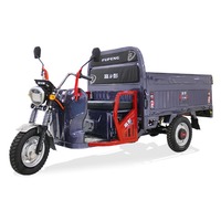 Tricycle électrique motorisé 60V pour le transport de marchandises, modèle 2024, pour adultes, utilisation urbaine, autonomie de 50 km
