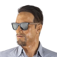 Nouvelles lunettes de soleil professionnelles en bois polarisées pour hommes et femmes, fabriquées par un fabricant OEM, en plastique recyclé polarisé UV400