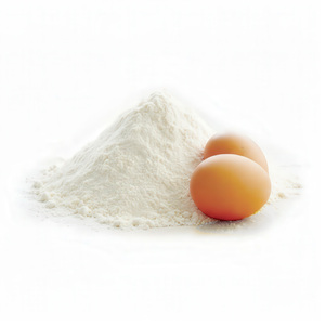 Halal/Haccp Chứng Nhận Cấp Thực Phẩm Trứng Bột Màu Trắng Cao Cấp Chất Lượng Albumen Bột Sản Phẩm Trứng - Product Image 1