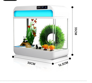 Humidificador Inteligente de Tamaño Pequeño, Repelente de Mosquitos, Pecera para el Hogar, Pecera de Vidrio para Sala de Estar - Product Image 5