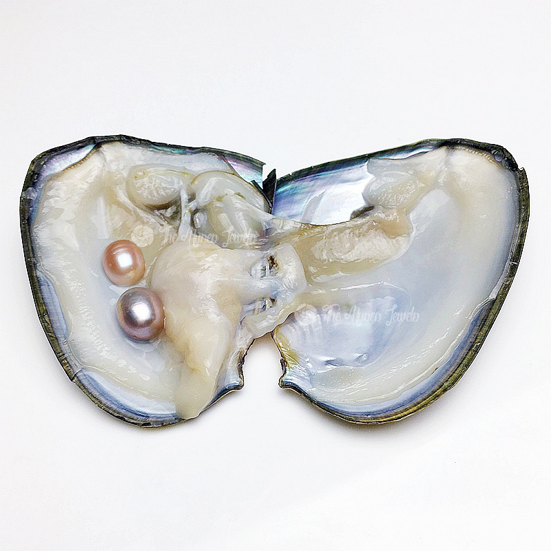 Gemelli (Due perle per ostrica)