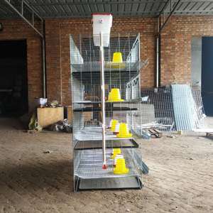 Cage de poulet pour bébé de type H de 45 jours/couveuse/cages de poussins de couche d'un <span class=keywords><strong>jour</strong></span> <span class=keywords><strong>à</strong></span> <span class=keywords><strong>vendre</strong></span> au Zimbabwe - Product Image 3