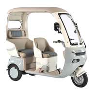 Scooter électrique tricycle fermé haut de gamme 1000W avec passagers, fabriqué en Chine