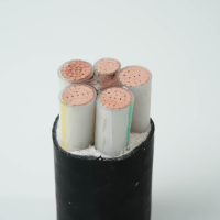 Cable de Alimentación de Bajo Voltaje Aislado con PVC, 4 Núcleos, Núcleo de Cobre Libre de Oxígeno, Conductor Sectorizado, Blindado, IP67, Industrial, Marino, para Computadora