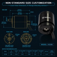 Moteur sans balais étanche IP68 Waillynice 2429B 230KV 12V 2-4S pour bateau à appât RC, propulseur sous-marin ROV