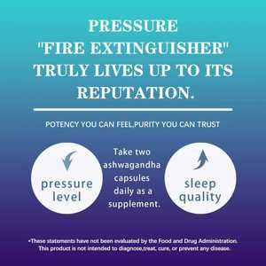 Premium Aşvaganda Kapsülleri - Enerji ve Bağışıklık için Besleyici Tonik, Zerdeçal ile Karıştırılmış, GMP Sertifikalı Toplu Tedarik - Product Image 6