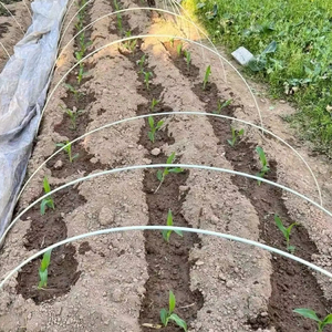 <span class=keywords><strong>Arceaux</strong></span> de <span class=keywords><strong>serre</strong></span> de jardin en fibre de verre, cadre de soutien amovible pour la culture des plantes, <span class=keywords><strong>arceaux</strong></span> de tunnel bas pour la protection contre les intempéries et les ravageurs - Product Image 2