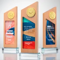 Trophées en bois massif personnalisés Distribution de la marque Réunion annuelle Plaque de gravure pour employés exceptionnels