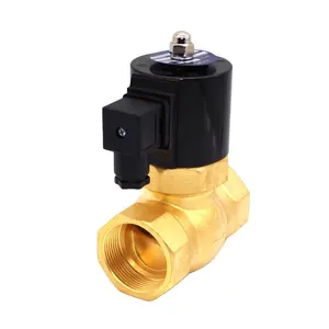 Électrovanne à vapeur de Piston haute température 2 voies 1/2 pouces 220v AC Standard pilote gaz liquide vapeur <20cst classe B eau générale