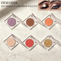 Palette de fards à paupières DIY longue tenue, haute pigmentation, pailletée, mate, tons terreux, maquillage pour les yeux, logo personnalisé, cosmétiques imperméables, OEM