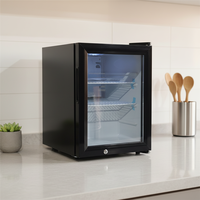 Réfrigérateur commercial miniature pour boissons de 35 L