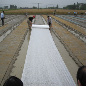 Vải Không Dệt <span class=keywords><strong>Pp</strong></span>/Tái Chế Chất Thải <span class=keywords><strong>PP</strong></span> Vải Không Dệt 3% UV <span class=keywords><strong>PP</strong></span> Spun Bond Nông Nghiệp Không Dệt/Spun-Bonded Nông Nghiệp - Product Image 6