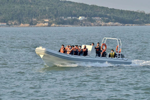 Liya nhôm hull <span class=keywords><strong>Rib</strong></span> thuyền V dưới nhôm thuyền <span class=keywords><strong>Rib</strong></span> 480 thuyền để bán - Product Image 2