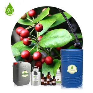 Wholesale Price Organic Essential Oil New /Natural Holly Oil in Bulk