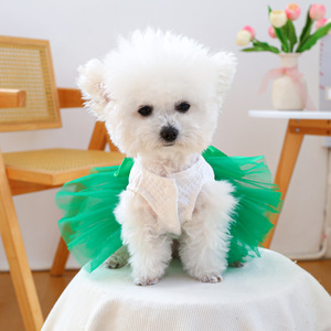 Pet community festival pets cute puppies and kittens casual fashion clothing St. Patrick's tulle skirt - Product Image 3