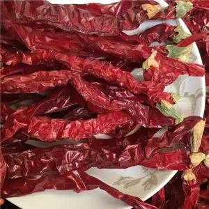 Spicy condiment whole fresh pick dried red round red chilli red pepper low price