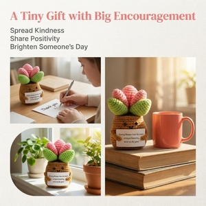 Pianta di Peluche all'Uncinetto per Supporto Emotivo, Succulenta all'Uncinetto con Biglietto di Messaggio Positivo per Decorazione Scrivania, Regalo di Compleanno, Regalo di Ringraziamento - Product Image 5