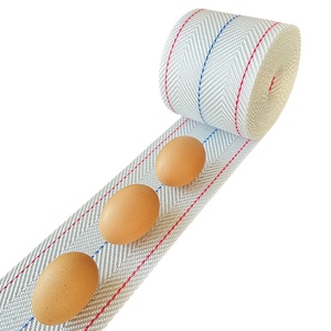 Cinta Transportadora de Huevos de Polietileno Tejido de 300 mm, Transportador de Huevos de Polipropileno para Jaulas de Gallinas Ponedoras, Granja Avícola - Product Image 3