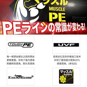 Daiwa Catzan 8Braid PE Line High Strength Abrasion Resistant Fishing Line <b>Long</b> Casting For Anglers - Product Image 3
