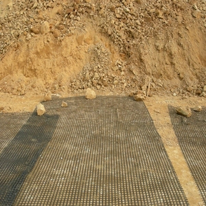 Lưới Đường Hai Trục Nhựa Polyester Geogrid 50/50kn Geogrid 50/50 Cho Nền Tảng Tăng Cường Công Nghiệp 3.95/5.9M PET50-50 13% - Product Image 2