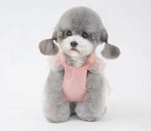 JXANRY estate/primavera cucciolo Maltese Yorkshire abito elegante per animali domestici per cuccioli da principessa - Product Image 6