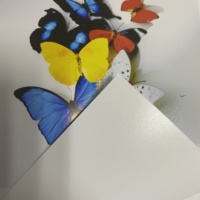 Papier photo en gros A3/A4 brillant jet d'encre magnétique 260g PH-260G1