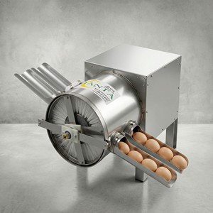 Machine à laver les œufs à grande vitesse, 2 voies, 4000 œufs par heure, acier inoxydable 304, fonction de recyclage de l'eau - Product Image 2