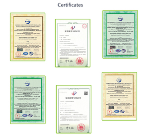 Conteneur d'expédition extensible <span class=keywords><strong>de</strong></span> 20 pieds transformé en salle <span class=keywords><strong>de</strong></span> sport avec revêtement en caoutchouc, miroir mural, barre <span class=keywords><strong>de</strong></span> traction pour la remise en forme à domicile, studio <span class=keywords><strong>de</strong></span> fitness, entraînement en plein air - Product Image 6