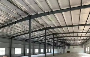 Edificio de Estructura de Acero Ligero Galvanizado en Caliente Personalizado para Taller Industrial y Fábrica Prefabricada - Product Image 4