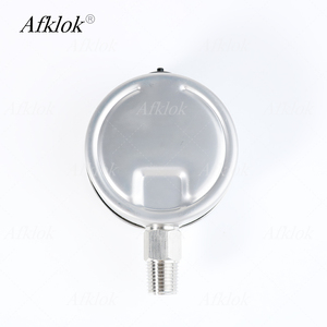 Máy đo áp suất 316 bằng thép không gỉ 0-25bar Kết nối 1/4in để kiểm tra áp suất đường ống công nghiệp - Product Image 2