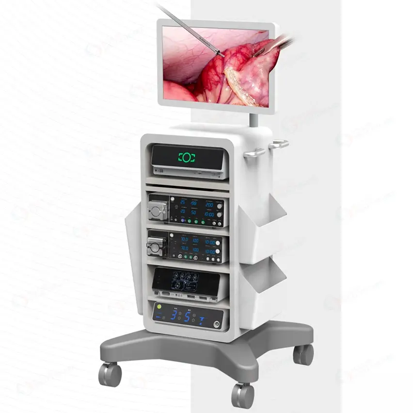 Medical Anti-fog 3D Video Thoracic Laparoscopy Endoscopy System
