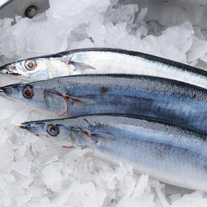 Saurio del Pacífico (<span class=keywords><strong>Sanma</strong></span>) Congelado Fresco Entero, Venta al por Mayor de China, para Servicios de Alimentos y Restaurantes Japoneses - Product Image 1