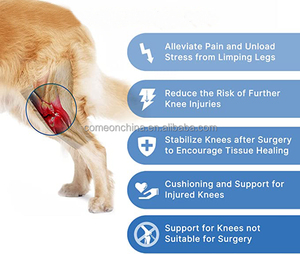 Rodillera ortopédica OEM <span class=keywords><strong>para</strong></span> perro, Protector de soporte de rodilla <span class=keywords><strong>para</strong></span> mascotas ACL, manga de recuperación de <span class=keywords><strong>piernas</strong></span>, reduce el dolor articular, rodillera <span class=keywords><strong>para</strong></span> perro - Product Image 5