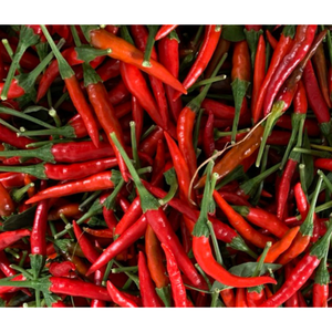 Entrega rápida del fabricante vietnamita, productos de hierbas de Chile fresco, embalaje personalizado para especias y hierbas individuales - Product Image 3